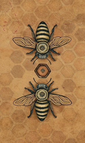 Bee Tarot sample card - back of card, two bees acing each other