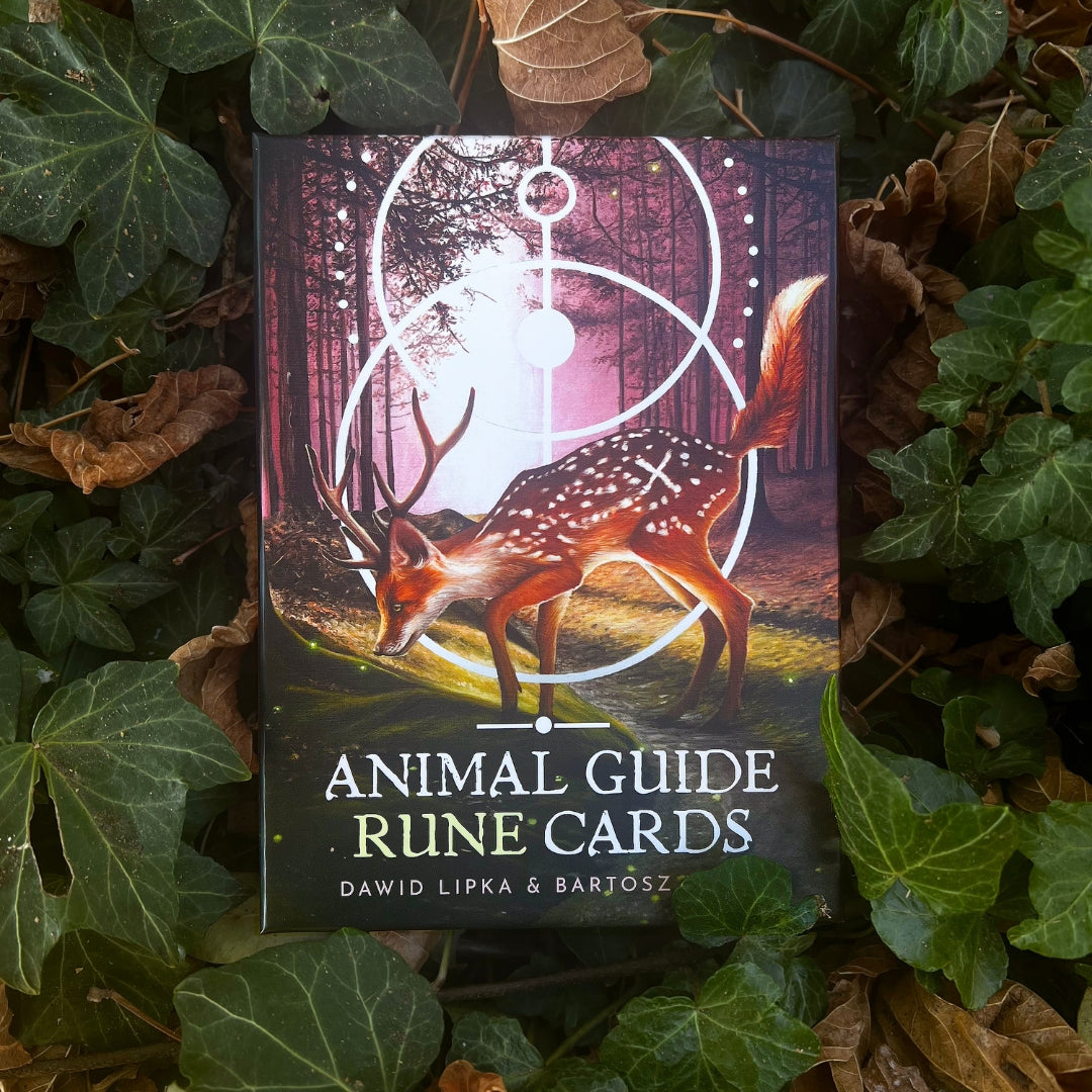 Animal Guide Rune Cards by  Dawid Lipka and Bartosz Mazik