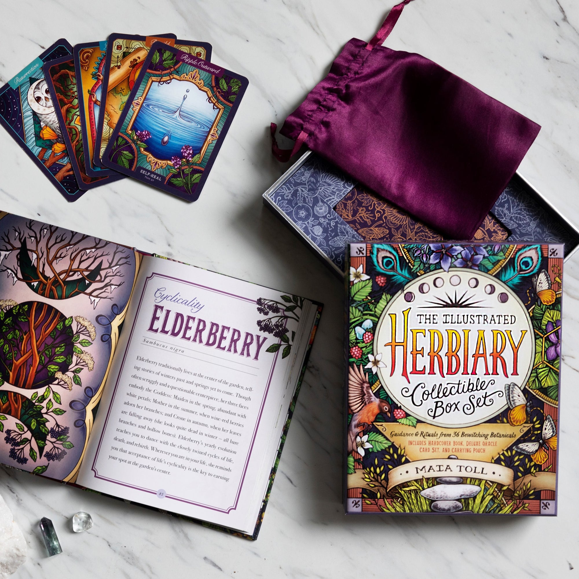 The Illustrated Herbiary Collectible Box Set by Maia Toll