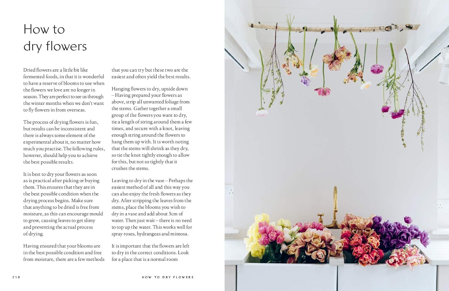 The Healing Power of Flowers: Discover the Secret Language of the Flowers You Love