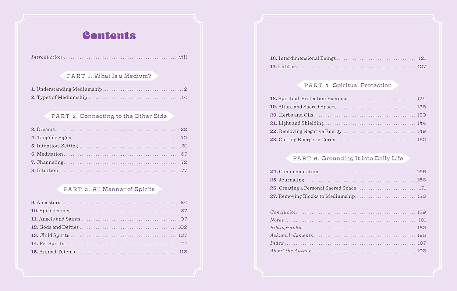 Vibes from the Other Side: Accessing Your Spirit Guides & Other Beings from the Beyond