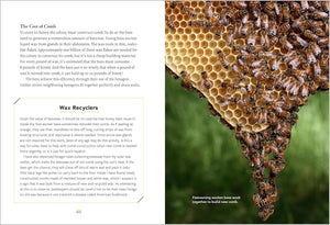 Book page with honeycomb and bees on one side and text on the other, set against a green background.