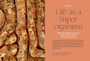 Close-up of honeycomb with text about life as a super-organism on a brown background