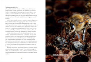 Book page with text and a close-up of a bee on a dark background