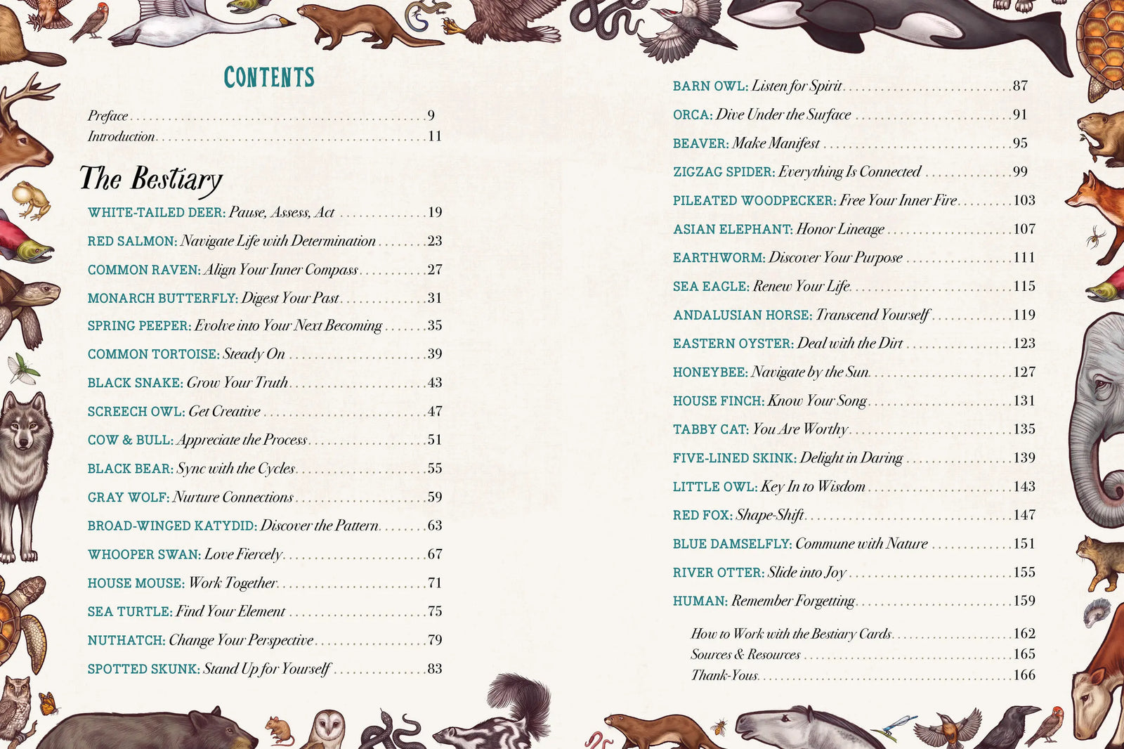 The Illustrated Bestiary: Guidance and Rituals from 36 Inspiring Animals by Maia Toll