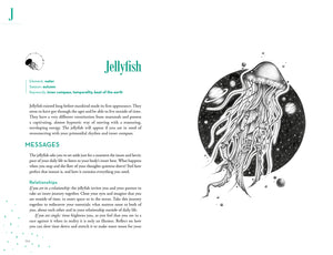 Illustration of a jellyfish with text on a white background