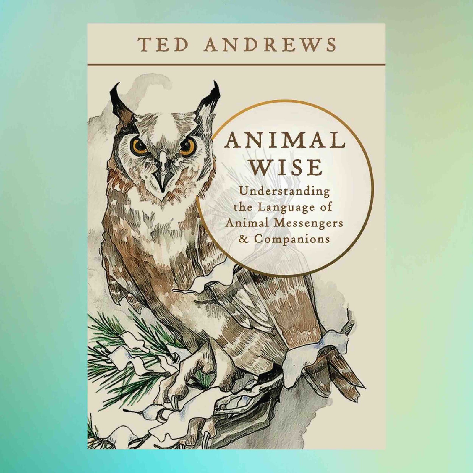 Book cover of 'Animal Wise' by Ted Andrews with an owl illustration on a gradient background