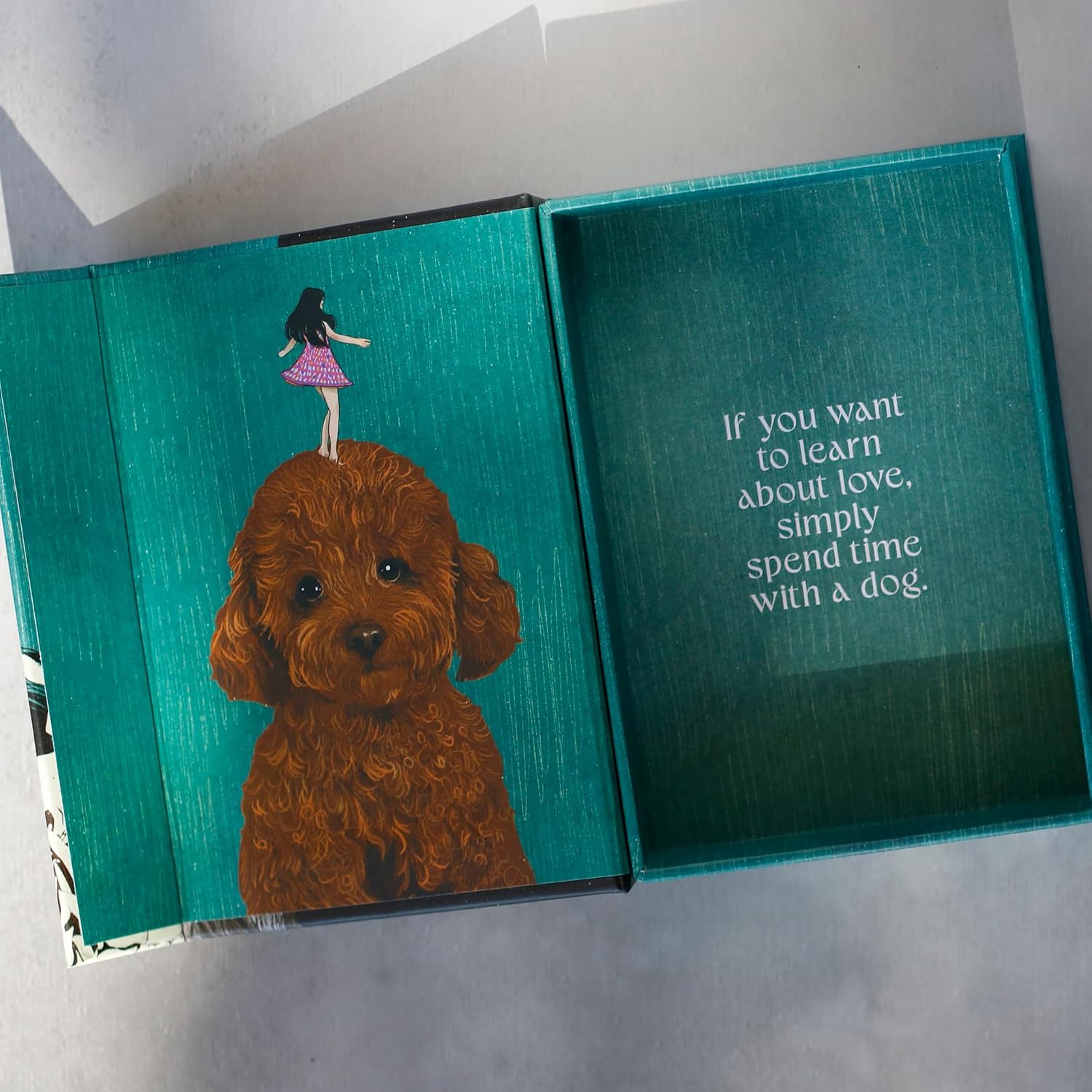 A teal boxed card deck titled “Ask the Canine Sages’ in gold text with a woman and dog illustration on a textured background.