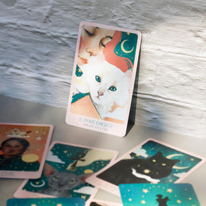 Set of oracle cards with illustrations of people and cats on a grey textured surface.