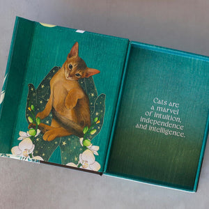 A teal oracle deck box, opened with hinged lid, featuring an illustration of an orange tabby cat on the left panel and a quote on the right.