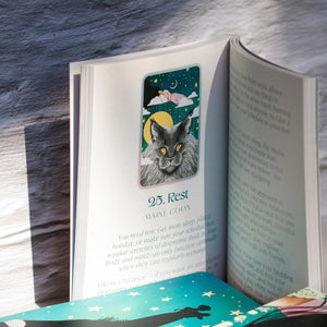 An open book with text, featuring an image of a gray cat under a starry night sky with a yellow moon. The title reads '25. Rest: Maine Coon’