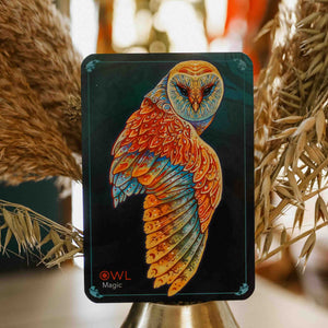 An oracle card featuring a highly detailed, colorful owl illustration on a dark background, displayed with dried decorative grasses in the background.