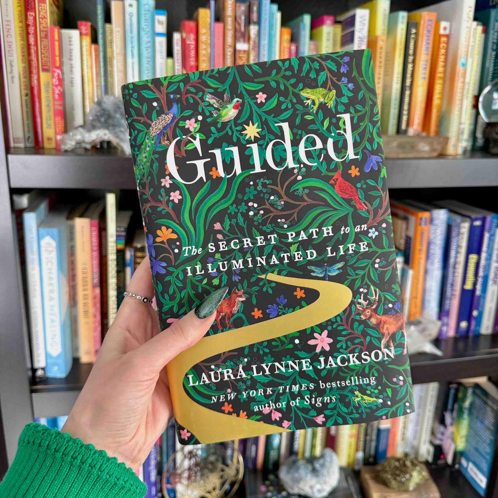 Book titled 'Guided: The Secret Path to an Illuminated Life' held in front of a bookshelf.