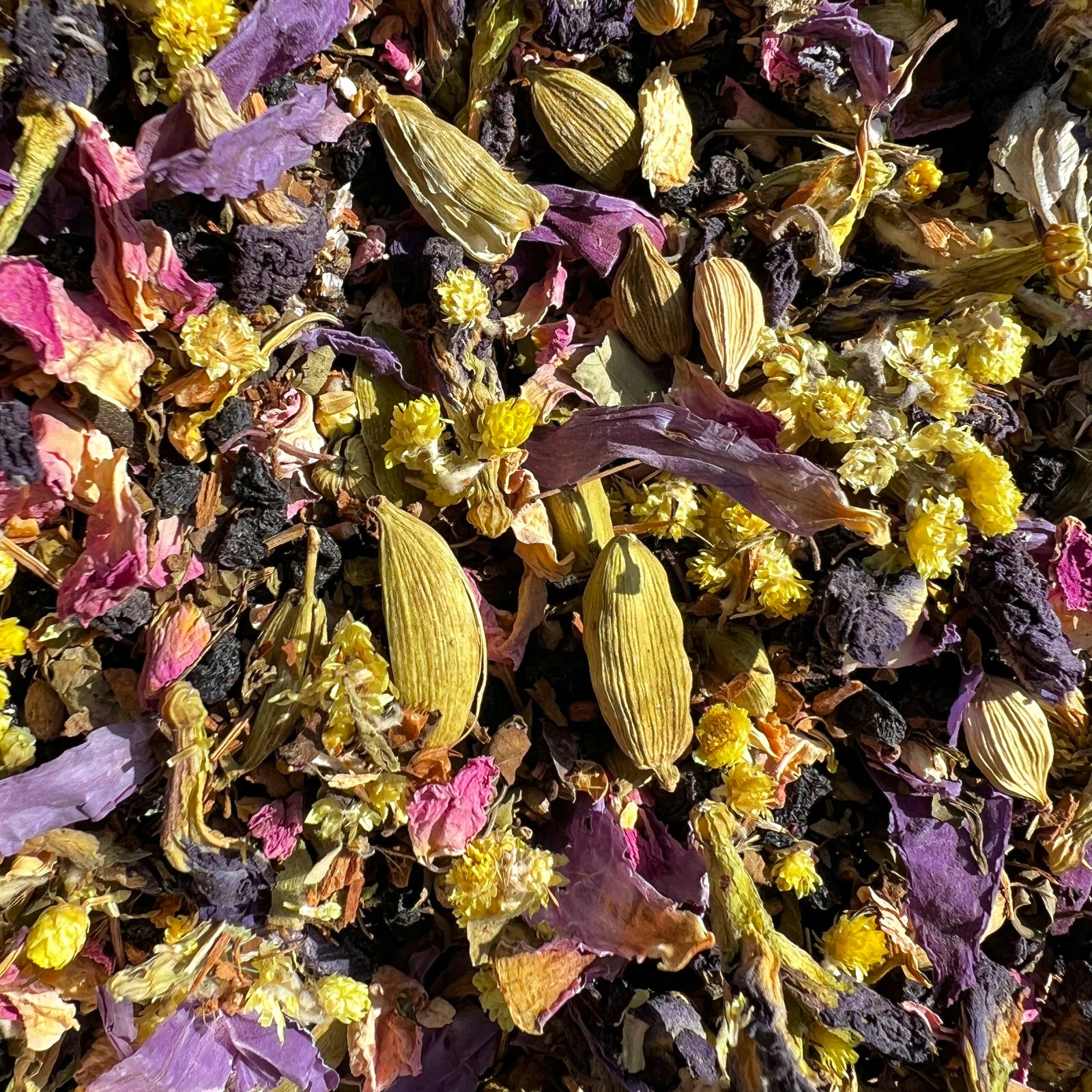 A tattooed hand holds a yellow packet of 11/11 Cosmic Blend Tea next to a glass mason jar filled with similar dried herbs. Both containers have labels reading "Mystic Sisters 11/11 Cosmic Blend" with colorful abstract designs. The unique blend exudes cosmic vibes, set against a blurred window background.