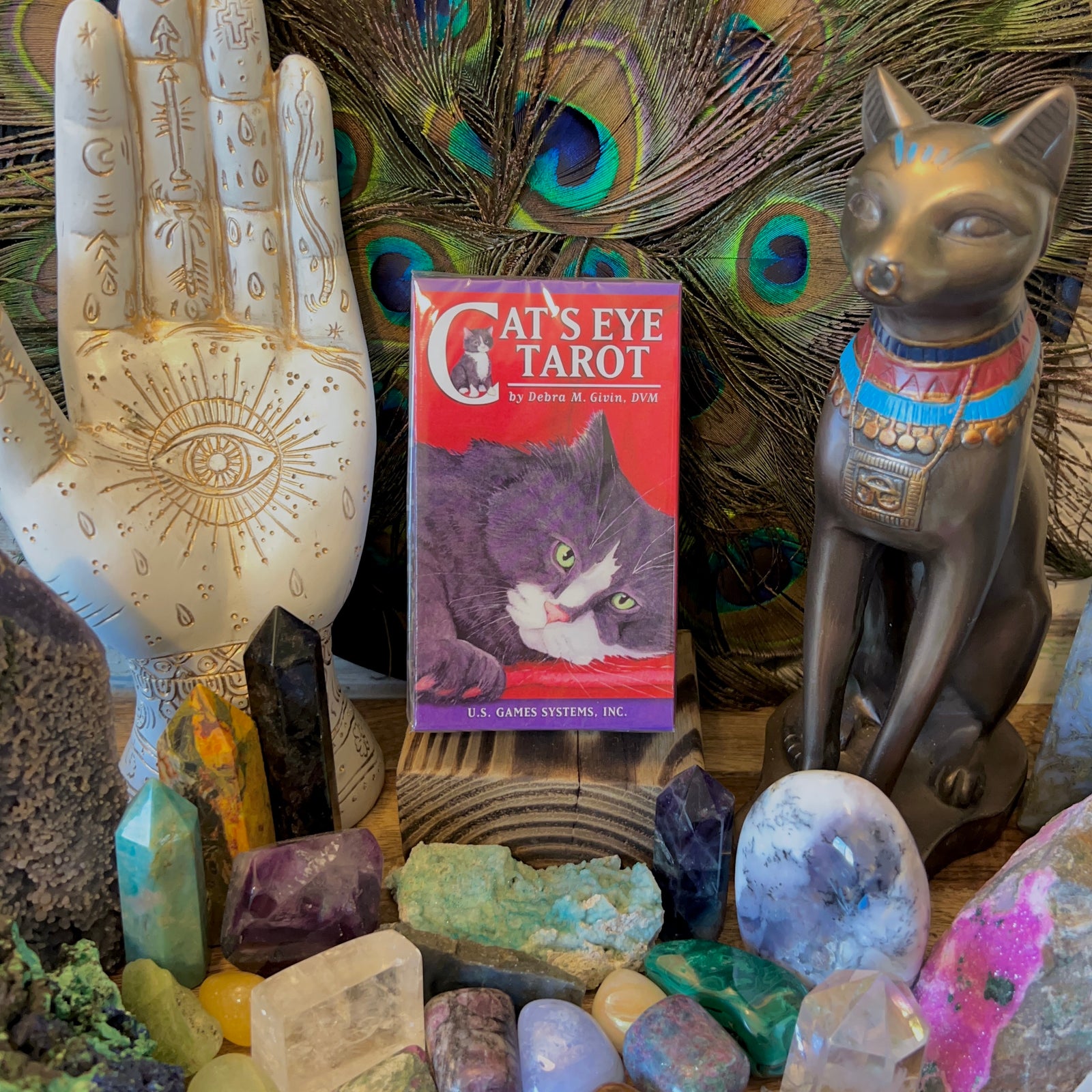 Cat's Eye Tarot Deck by Debra M. Givin, DVM