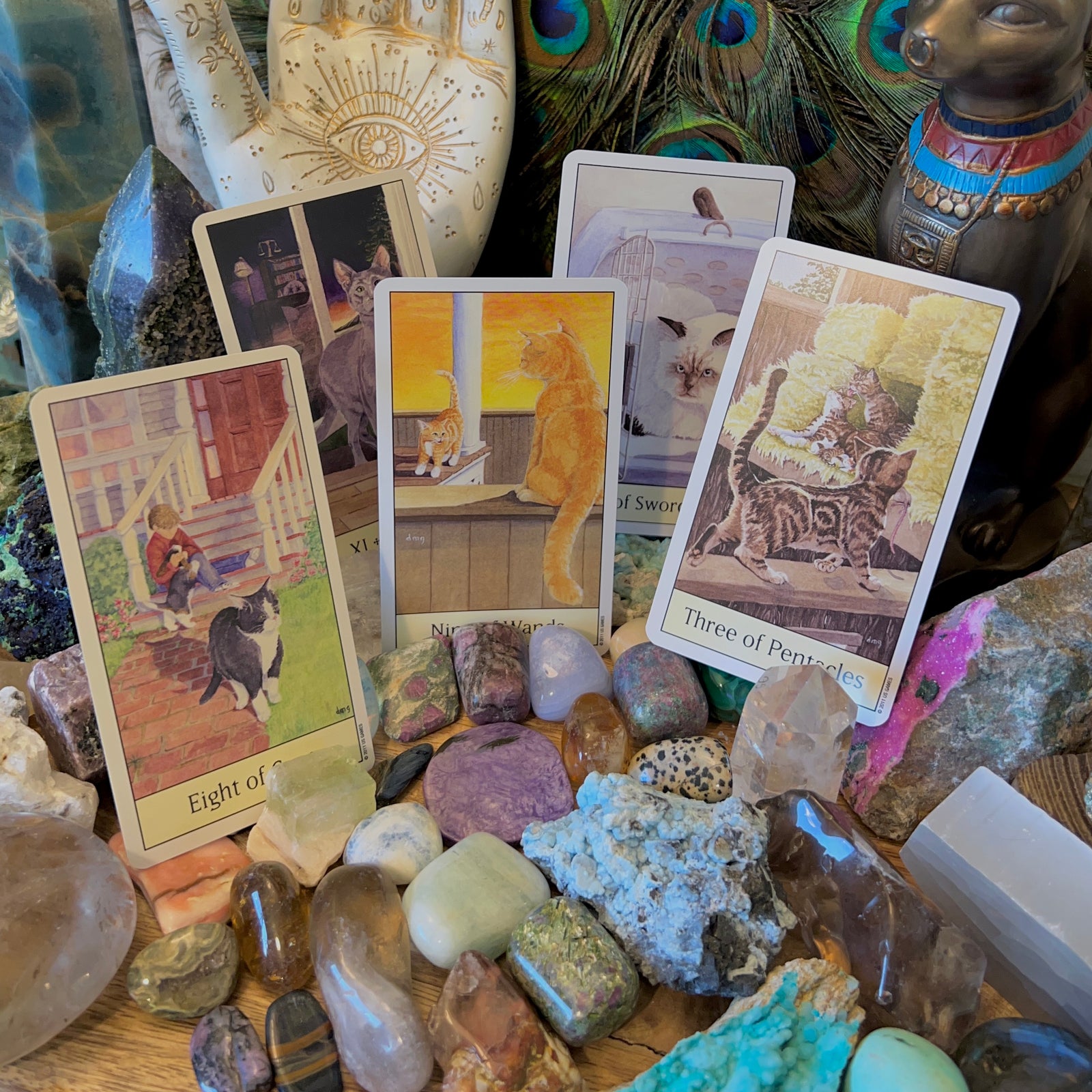 Cat's Eye Tarot Deck by Debra M. Givin, DVM