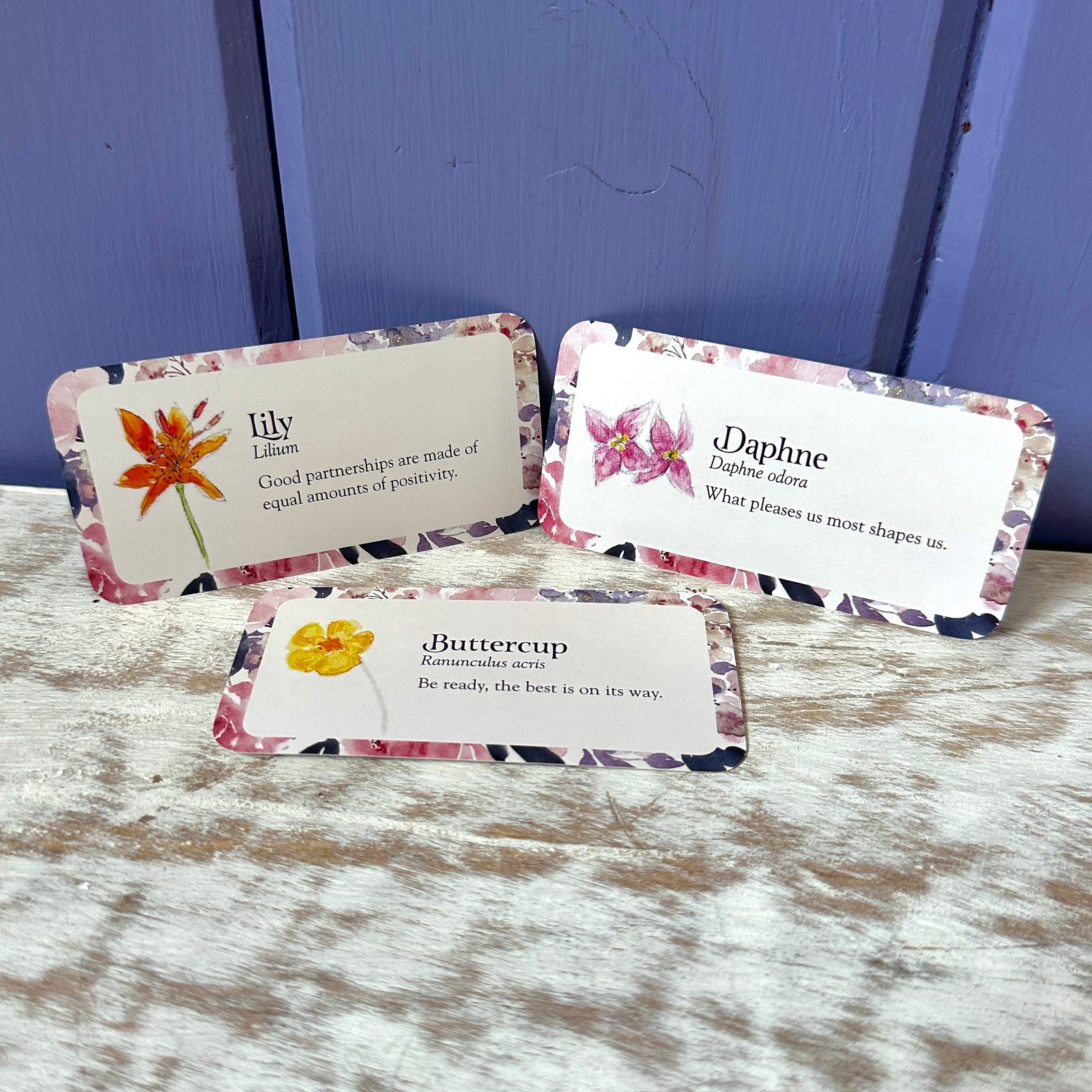 Flower Petals: Blossoming Guidance from the Garden