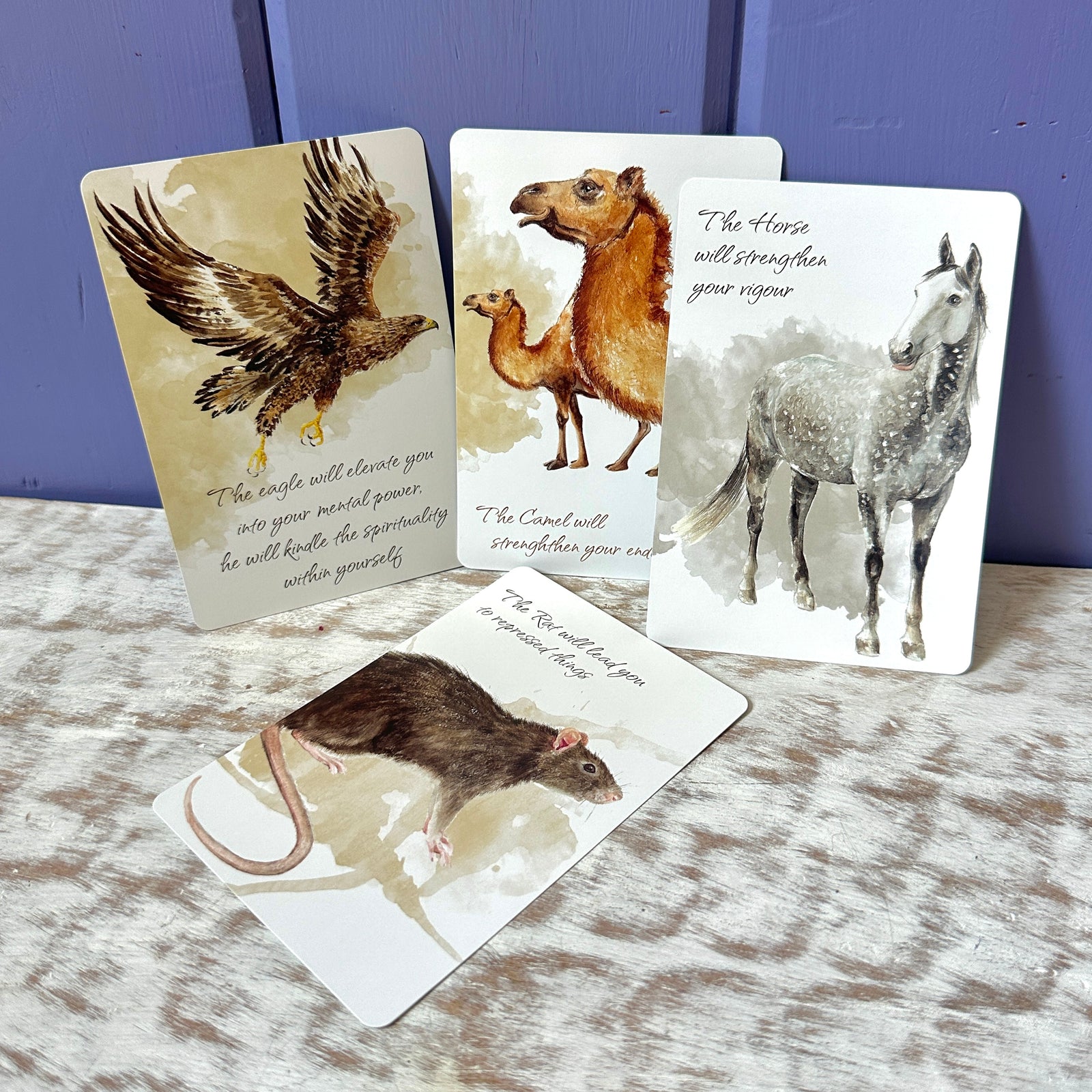 Power Animals: Spirit Guides for Your Spiritual Life