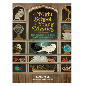 The Night School for Young Mystics by Maia Toll