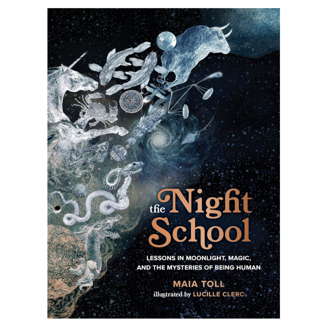 The Night School by Maia Toll