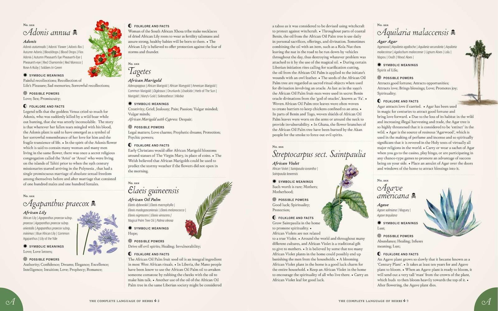 Book cover of 'The Complete Language of Herbs' with floral and butterfly design.