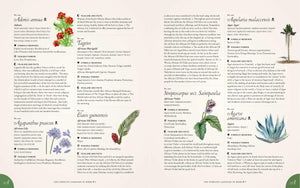 Floral illustrations and text on a white background