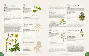 Illustrated book page with various plants and their names on a white background