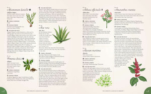 Illustrated book page with herbal illustrations and text on a white background