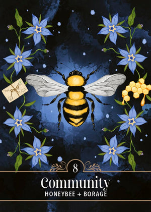 Illustration of a honeybee surrounded by blue flowers and a letter on a dark background, with 'Community Honeybee + Borage' text.