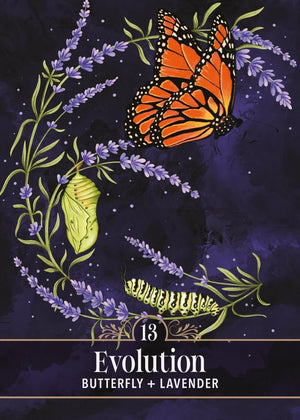 An oracle card with a monarch butterfly, a chrysalis, and lavender sprigs on a dark purple background with '13 Evolution BUTTERFLY + LAVENDER' text.