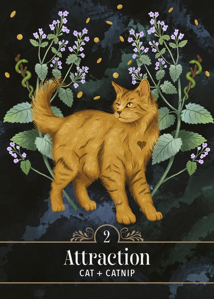 Familiar Magic Pocket Oracle cards with illustrations of animals and nature on a white background.