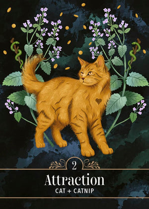 Illustration of a cat surrounded by plants with 'Attraction' text at the bottom.
