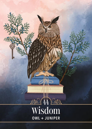 An illustrated card featuring a brown owl on stacked books, with juniper branches and a key around it, with text '44 Wisdom OWL + JUNIPER'.