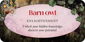 Card with 'Barn owl' and 'Enlightenment' text, surrounded by nature-themed elements.