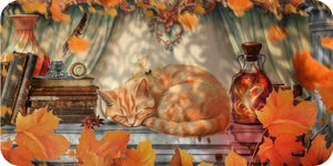 Cat sleeping on a shelf with autumn leaves and decorative items