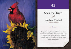 Bird Vibes Meditation Cards sample card picture of Cardinal on sunflower. "42, Seek the Truth, Northern Cardinal, 6TH CHAKRA, The glorious red plumage of Northern Cardinals makes them stand out from their surroundings. They eat sunflower seeds, splitting them open with their powerful beaks. Crack the nut and seek the kernel of truth in your beart."