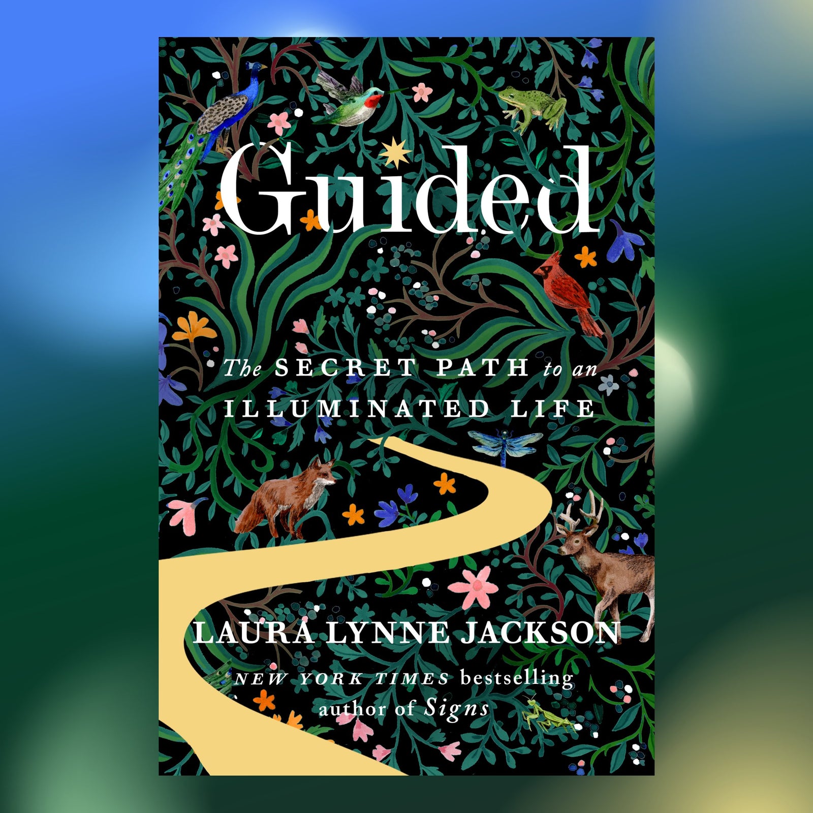 Guided: The Secret Path to an Illuminated Life