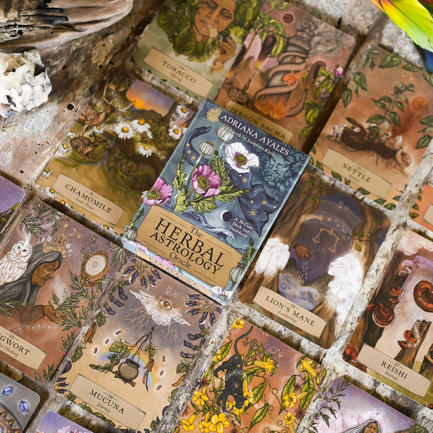 The Herbal Astrology Pocket Sized Oracle Deck by Adriana Ayales