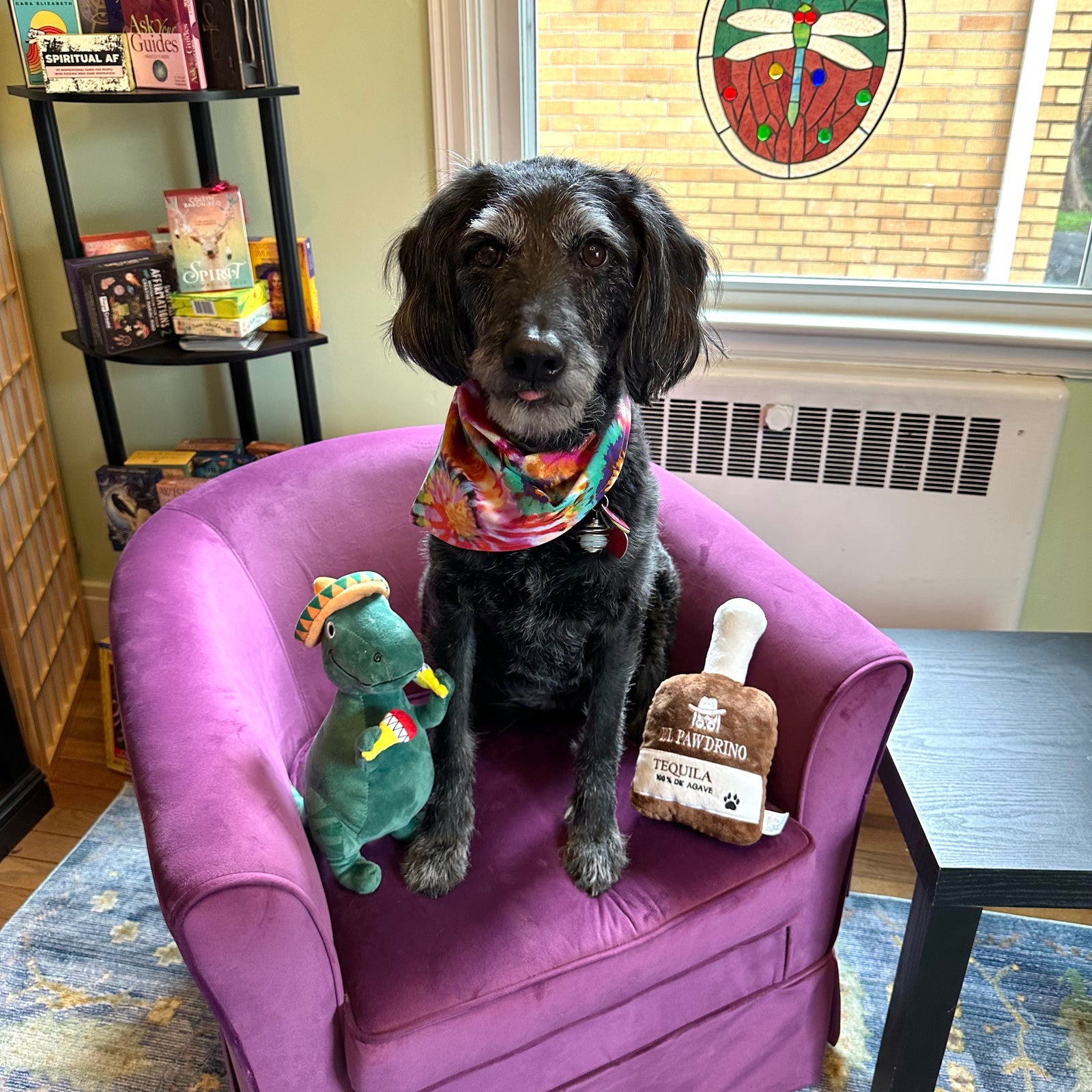 black dog wearing tie dye bandana sitting in purple chair with toys
