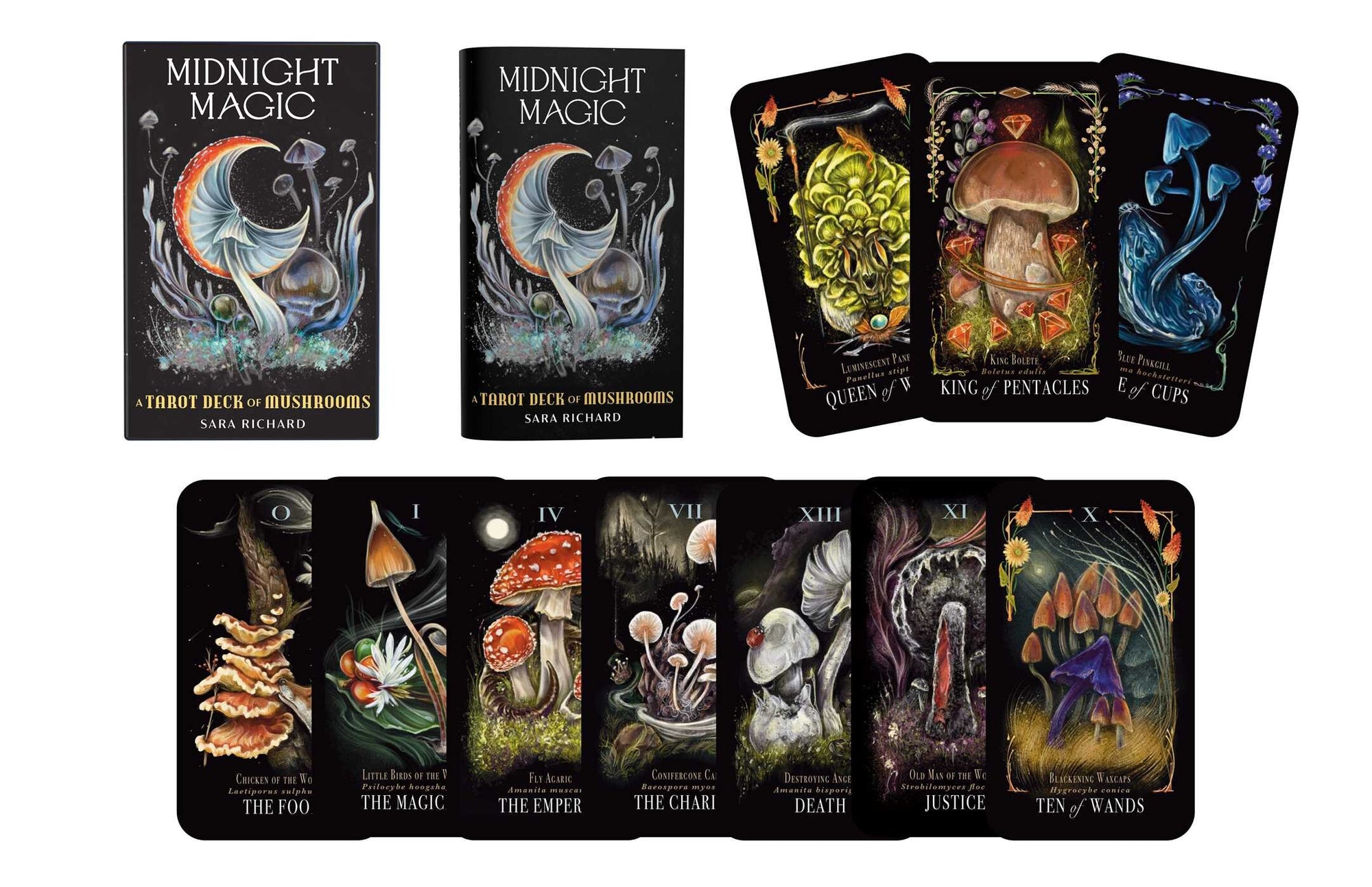 Midnight Magic: A Tarot Deck of Mushrooms By Sara Richard