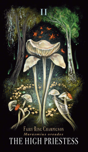 Midnight Magic Oracle sample card "II FAIRY RING CHAMPIGNON - Marasmius oreades, THE HIGH"