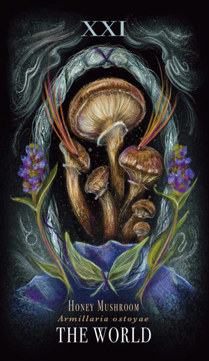 Midnight Magic Oracle sample card "XXI - HONEY MUSHROOM
Armillaria ostoyae, THE WORLD"