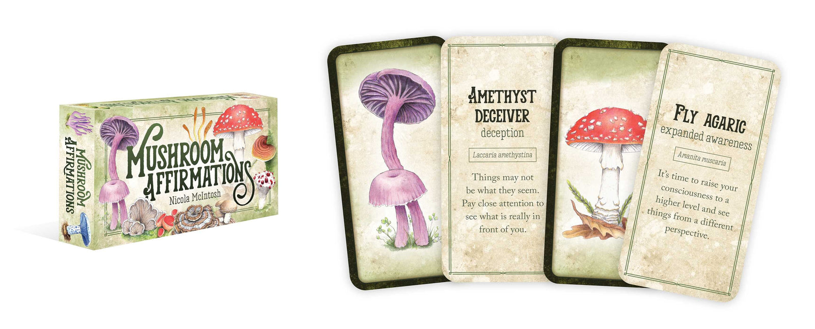 Mushroom Affirmations card set by Nicola McIntosh, with illustrated mushrooms like Blue Pinkgill and Bleeding Tooth.