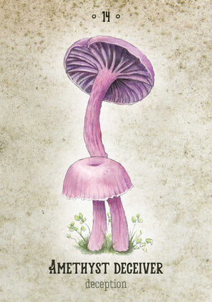 Mushroom Spirit Oracle sample card "AMETHYST DECEIVER - deception"