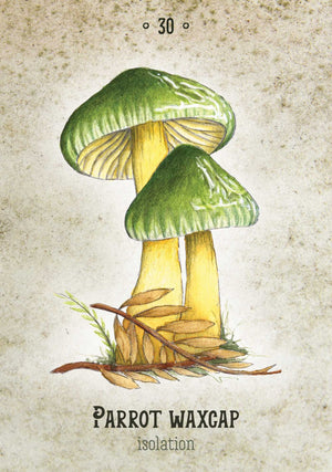 Mushroom Spirit Oracle sample card "PARROT WAXCAP - isolation"