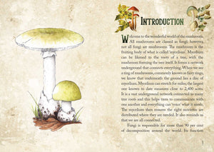 Mushroom Spirit Oracle sample page of guidebook "INTRODUCTION
welcome to the wonderful world of the mushroom.All mushrooms are classed as Fungi; however, not all fungi are mushrooms. The mushroom is the fruiting body of what is called 'mycelium'. Mycelium can be likened to the roots of a tree, with the mushroom forming the tree itself..."