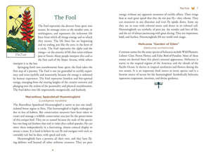 Card from a tarot deck with text and illustrations on a white background