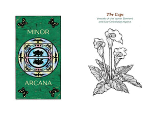 Card from a tarot deck with a green border and circular design, featuring the word 'Minor' and 'Arcana'. On the right, there is a black and white illustration of flowers and butterflies.