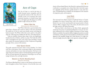 Card from a tarot deck with text and illustrations on a book page.