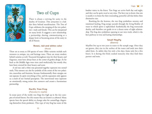 Card from a tarot deck with text and symbols on a white background